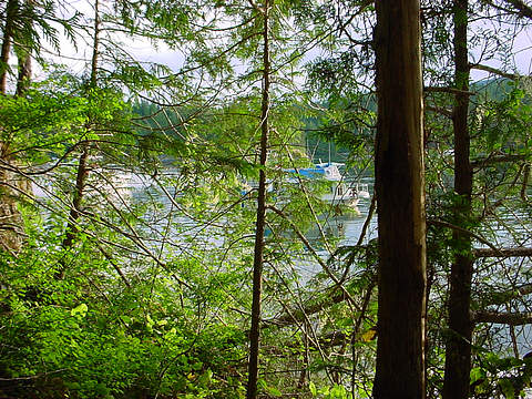 Octopus Islands Provincial Marine Park