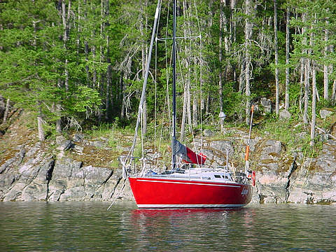 Sailboat with shore tie in Octopus Islands