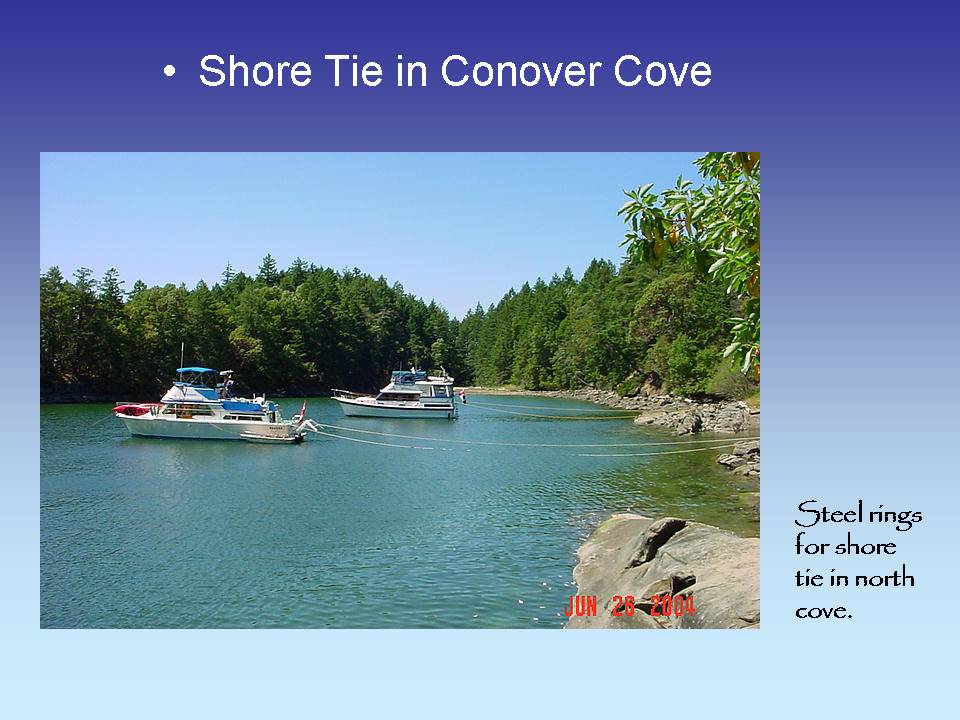 Shore Tie in Conover Cove