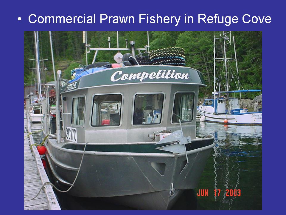 Commercial Prawn Fissery in Refuge Cove