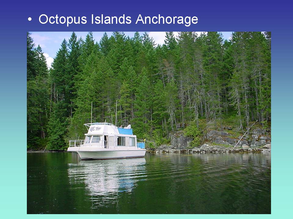 Octopus Islands Anchorage