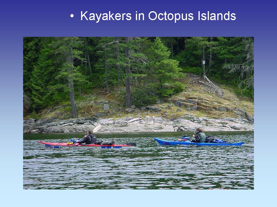 Kayakers in Octopus Islands, leaving