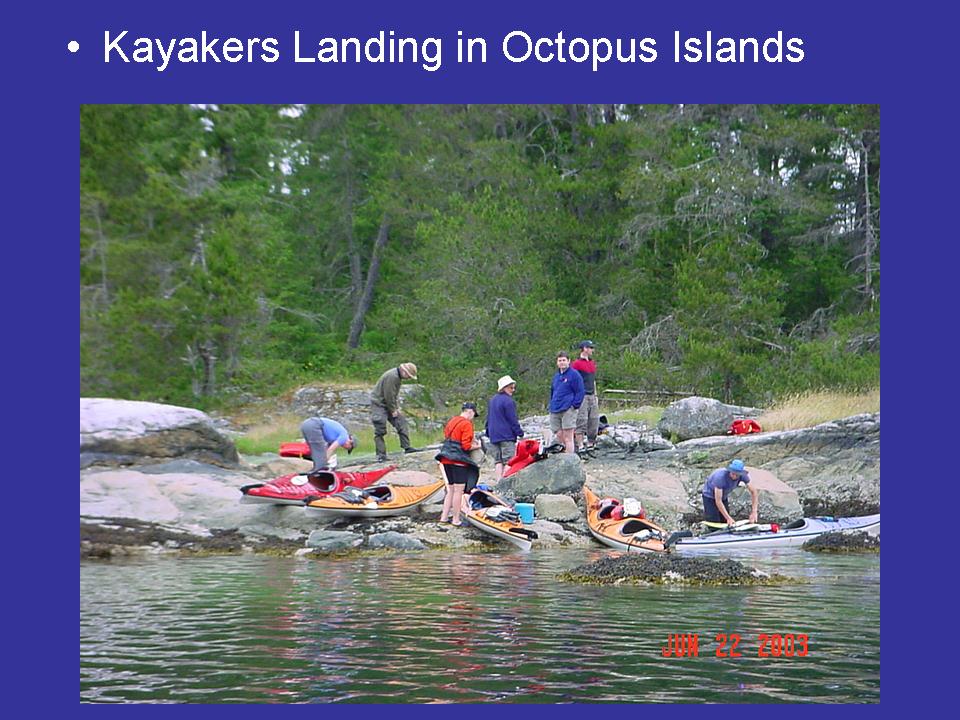 Kayakers Landing in Octopus Islands